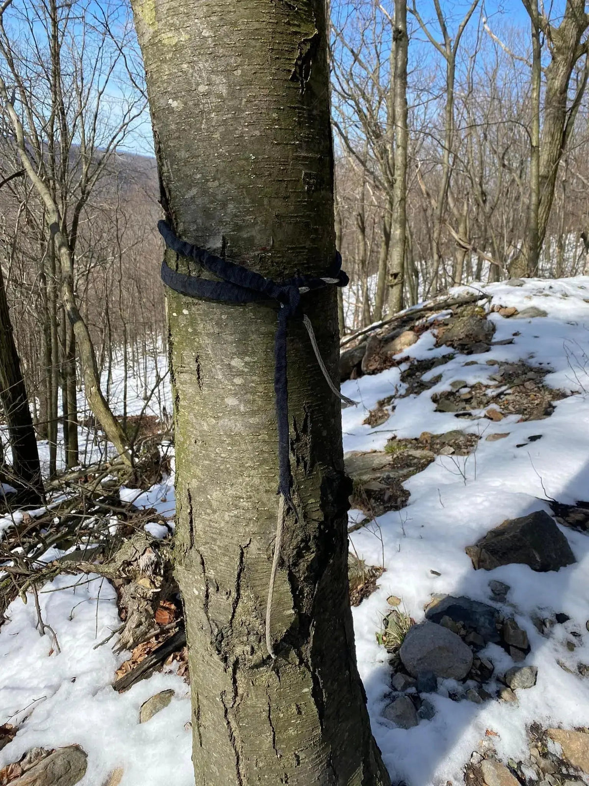 Tree savers Custom Splice